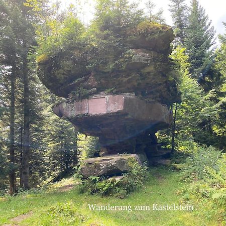 3- 2-1 - Raum - Ferienappartements Dieter Hoffmann Freudenstadt-Kniebis Beim Nationalpark Εξωτερικό φωτογραφία