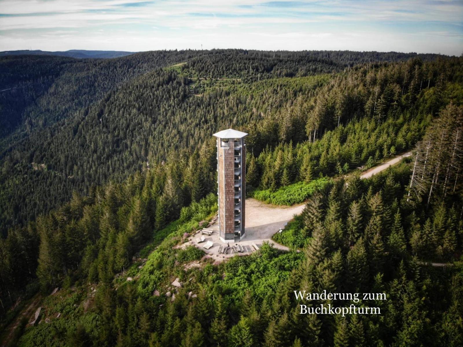 3- 2-1 - Raum - Ferienappartements Dieter Hoffmann Freudenstadt-Kniebis Beim Nationalpark Εξωτερικό φωτογραφία