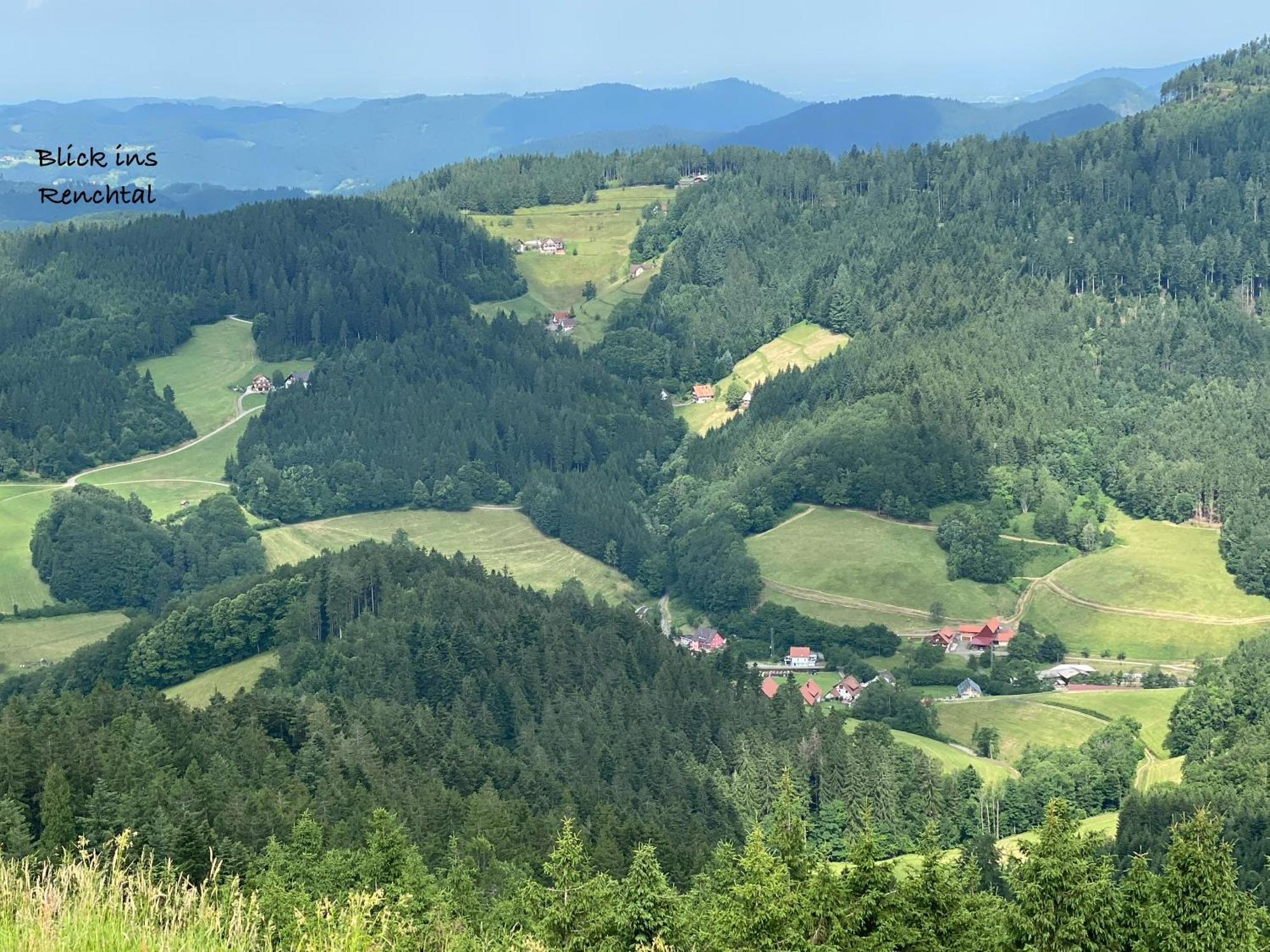 3- 2-1 - Raum - Ferienappartements Dieter Hoffmann Freudenstadt-Kniebis Beim Nationalpark Εξωτερικό φωτογραφία