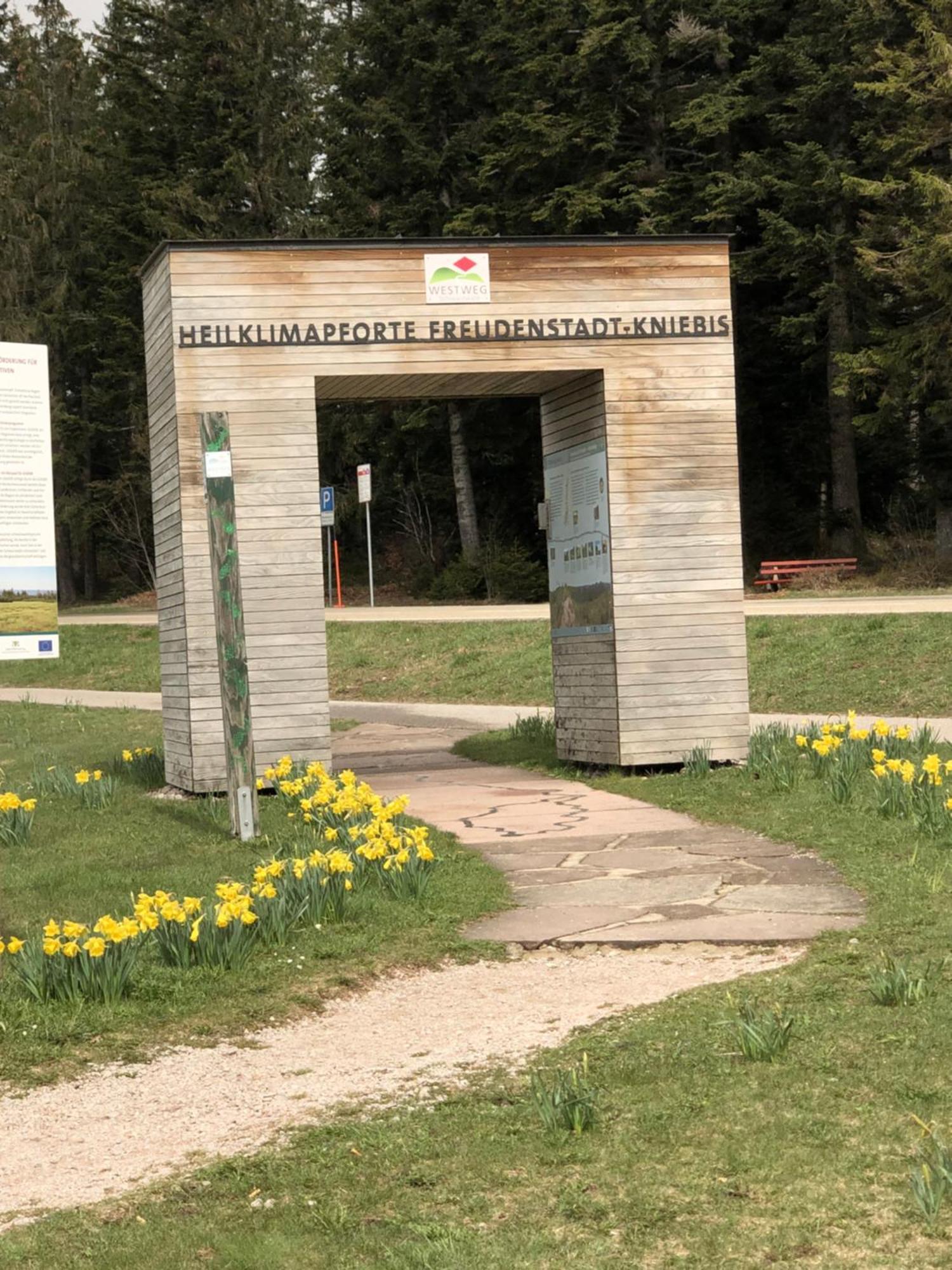 3- 2-1 - Raum - Ferienappartements Dieter Hoffmann Freudenstadt-Kniebis Beim Nationalpark Εξωτερικό φωτογραφία